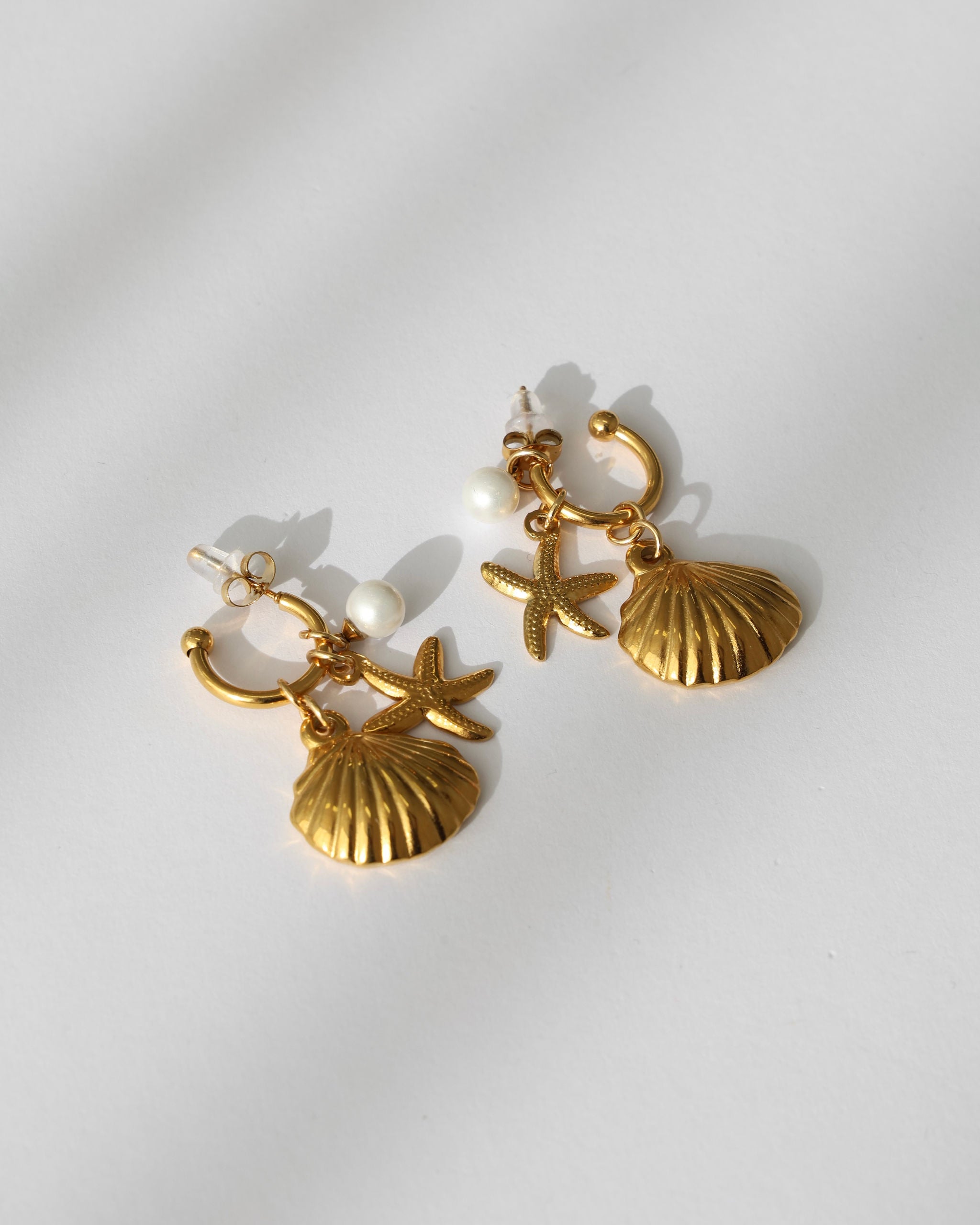 Starfish shell earrings